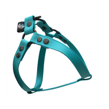Cargar imagen en el visor de la galería, Tail Dynamic - Arnés para Mascotas - Aqua - Tail Society