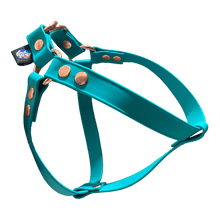 Cargar imagen en el visor de la galería, Tail Dynamic - Arnés para Mascotas - Aqua - Tail Society
