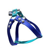 Cargar imagen en el visor de la galería, Tail Dynamic - Arnés para Mascotas - Stratosphere - Tail Society