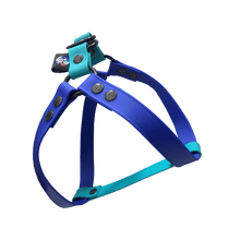 Cargar imagen en el visor de la galería, Tail Dynamic - Arnés para Mascotas - Stratosphere - Tail Society