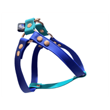 Cargar imagen en el visor de la galería, Tail Dynamic - Arnés para Mascotas - Stratosphere - Tail Society