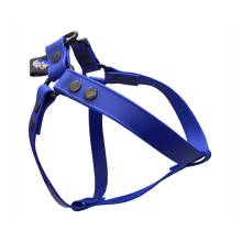 Cargar imagen en el visor de la galería, Tail Dynamic - Arnés para Mascotas - Azul Rey - Tail Society