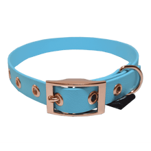 Cargar imagen en el visor de la galería, Tail Collar Prestige - Azul Claro - Tail Society