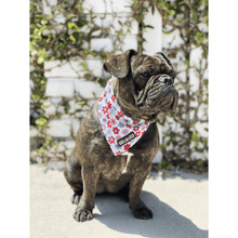 Cargar imagen en el visor de la galería, Bandana refrescante "Dayzie"