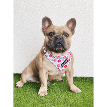 Cargar imagen en el visor de la galería, Bandana refrescante "Dayzie"
