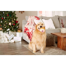 Cargar imagen en el visor de la galería, Juguete de peluche para perro "Hammy" - Pearhead