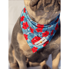 Cargar imagen en el visor de la galería, Bandana refrescante "Hibiscus"