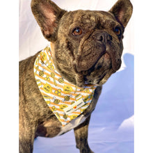 Cargar imagen en el visor de la galería, Bandana refrescante "Honey Bee"