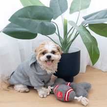 Cargar imagen en el visor de la galería, Hoodie "Grey" - Louie Living