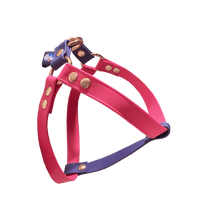 Cargar imagen en el visor de la galería, Tail Dynamic - Arnés para Mascotas - Stargazer - Tail Society