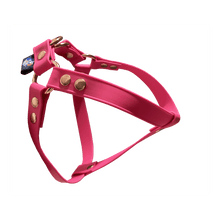 Cargar imagen en el visor de la galería, Tail Dynamic - Arnés para Mascotas - Magenta - Tail Society