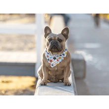 Cargar imagen en el visor de la galería, Bandana refrescante "Monsters"