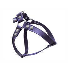 Cargar imagen en el visor de la galería, Tail Dynamic - Arnés para Mascotas - Morado - Tail Society