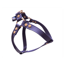 Cargar imagen en el visor de la galería, Tail Dynamic - Arnés para Mascotas - Morado - Tail Society