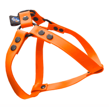 Cargar imagen en el visor de la galería, Tail Dynamic - Arnés para Mascotas - Naranja - Tail Society