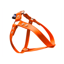 Cargar imagen en el visor de la galería, Tail Dynamic - Arnés para Mascotas - Naranja - Tail Society