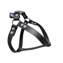 Cargar imagen en el visor de la galería, Tail Dynamic - Arnés para Mascotas - Negro - Tail Society