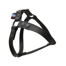 Cargar imagen en el visor de la galería, Tail Dynamic - Arnés para Mascotas - Negro - Tail Society
