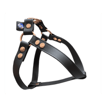 Cargar imagen en el visor de la galería, Tail Dynamic - Arnés para Mascotas - Negro - Tail Society