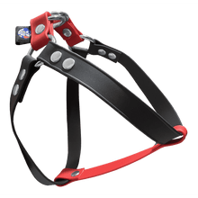 Cargar imagen en el visor de la galería, Tail Dynamic - Arnés para Mascotas - Ladybug - Tail Society