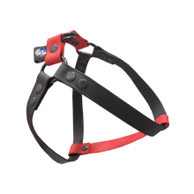 Cargar imagen en el visor de la galería, Tail Dynamic - Arnés para Mascotas - Ladybug - Tail Society