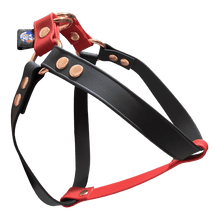 Cargar imagen en el visor de la galería, Tail Dynamic - Arnés para Mascotas - Ladybug - Tail Society