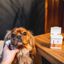Cargar imagen en el visor de la galería, Toallitas para limpieza de oidos - Dogslife 50 cnt