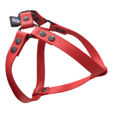 Cargar imagen en el visor de la galería, Tail Dynamic - Arnés para Mascotas - Rojo - Tail Society