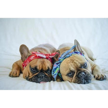 Cargar imagen en el visor de la galería, Bandana refrescante "90s Throwback"