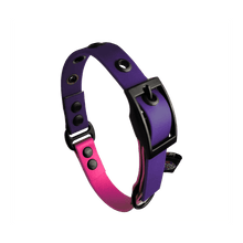 Cargar imagen en el visor de la galería, Tail Collar Duo - Stargazer - Tail Society