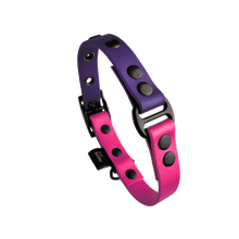 Cargar imagen en el visor de la galería, Tail Collar Duo - Stargazer - Tail Society