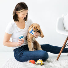 Cargar imagen en el visor de la galería, Set 3 Juguetes de peluche para perro "New York" - Pearhead