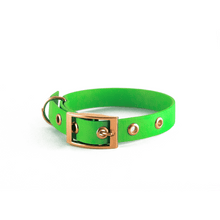 Cargar imagen en el visor de la galería, Tail Collar Prestige - Verde Neon - Tail Society