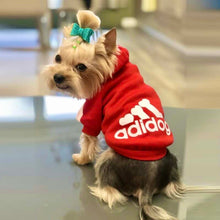 Cargar imagen en el visor de la galería, Hoodie "Adidog" para mascota FreshPawz