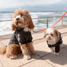 Cargar imagen en el visor de la galería, Chamarra impermeable "Black Raincoat" - Louie Living