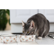 Cargar imagen en el visor de la galería, Plato cerámico para gato "Cat Faces" - Chico