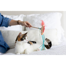 Cargar imagen en el visor de la galería, Juguete de varita para gatos "Koi" - Pearhead