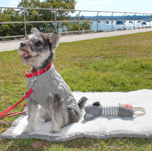 Cargar imagen en el visor de la galería, Tapete de viaje "The Voyager" Gris - Grande