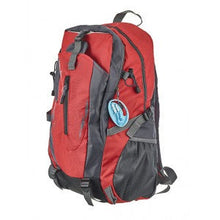 Cargar imagen en el visor de la galería, Kit Removedor de Garrapatas 2-pack + Estuche Portatil Tick Twister®