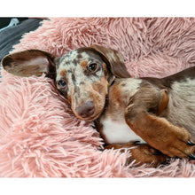 Cargar imagen en el visor de la galería, Cama Donut antiestrés para mascotas