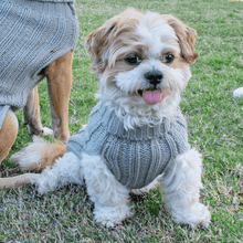 Cargar imagen en el visor de la galería, Sweater "Cable Knit Grey" para mascota - Louie Living