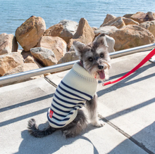 Cargar imagen en el visor de la galería, Sweater "Stripe Cardigan" para mascota - Louie Living