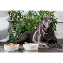 Cargar imagen en el visor de la galería, Plato cerámico "Woof" - Pearhead