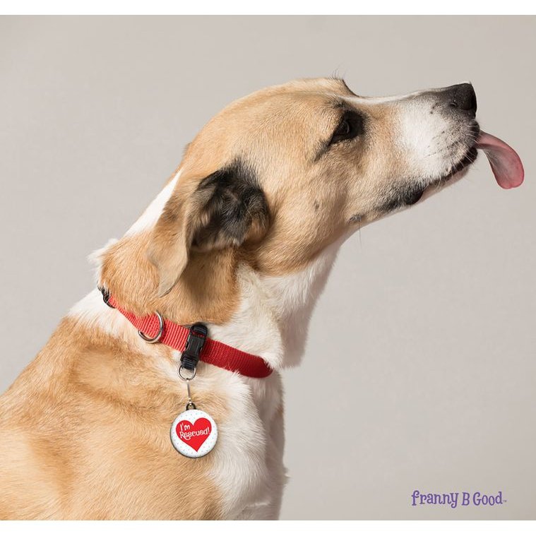 Charm para collar Such a Good Boy